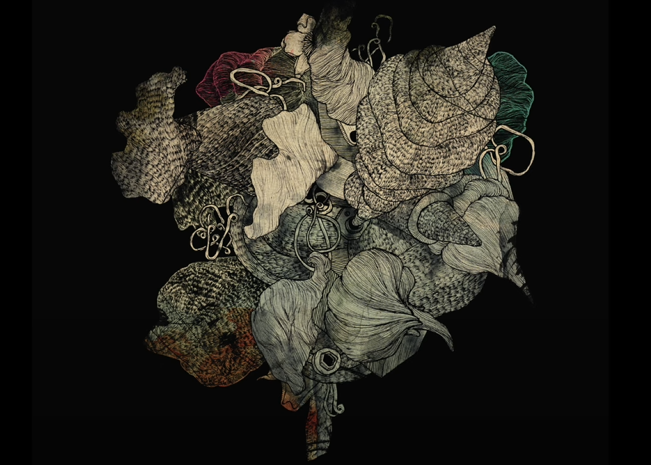 A digital illustration of various seashells and oceanic creatures arranged in a circular pattern on a black background.