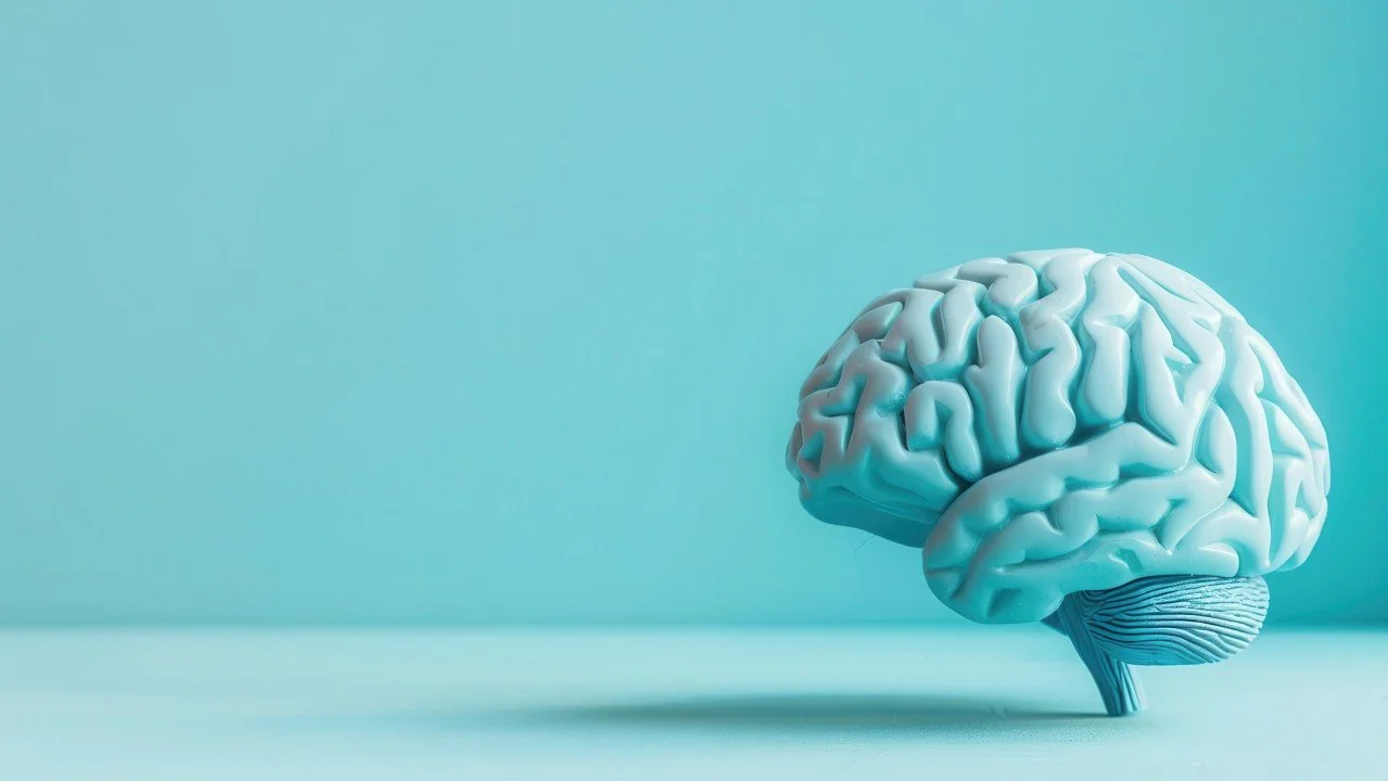 Neuroplastic Dependency: The Hidden Cost of Outsourcing Our Thinking to AI