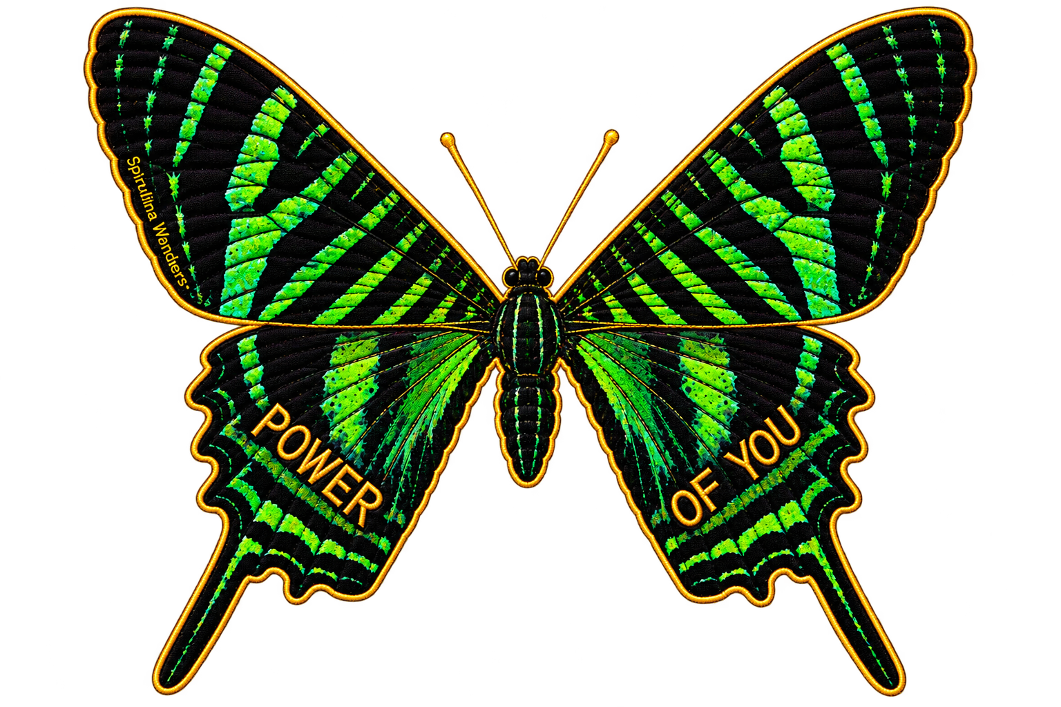 67296B34-FD0B-45AC-BA06-3C13FC33DF58.PNG