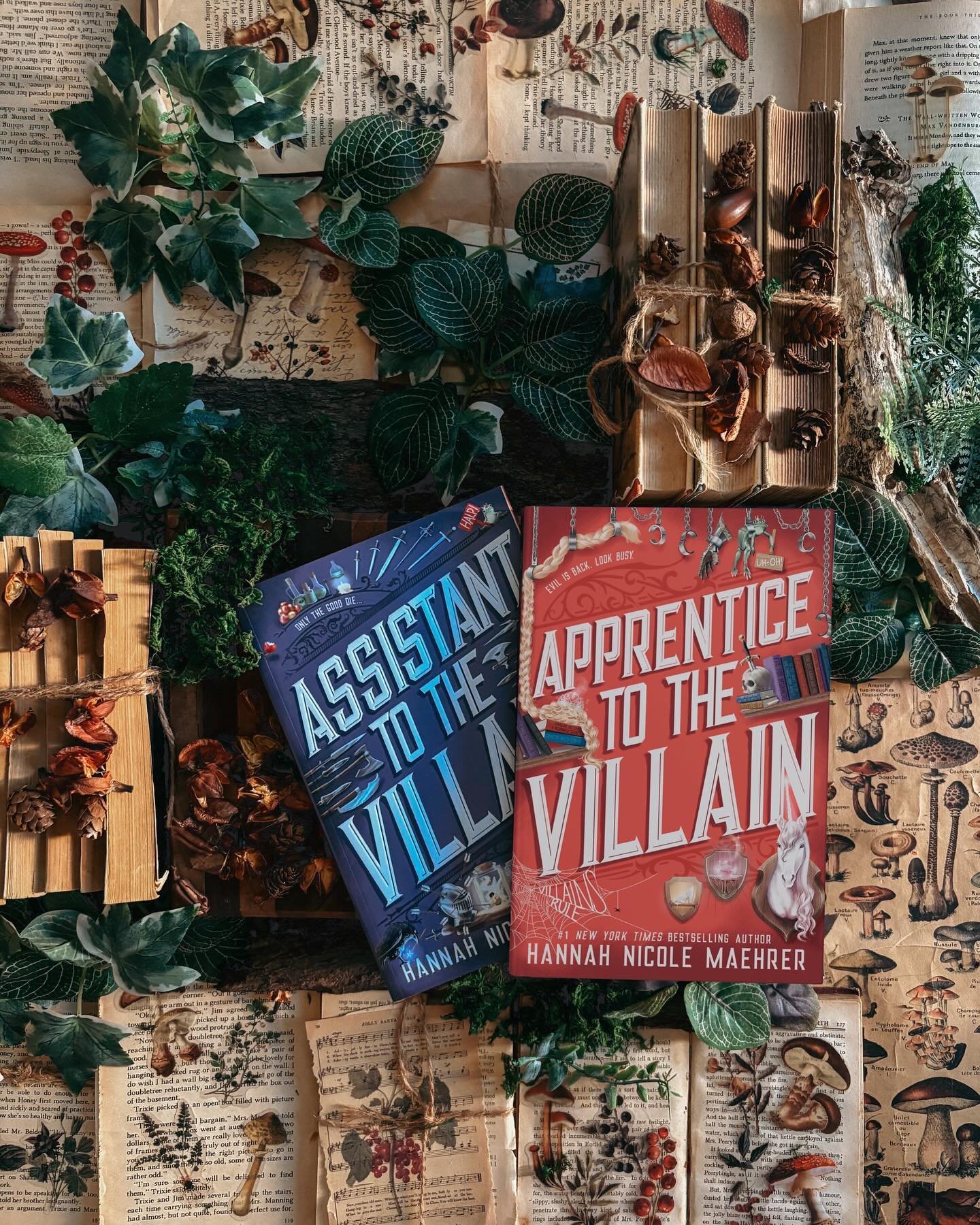 tell me a hyped/famous book on your TBR!! I&rsquo;m so ready to start this series 👀

I&rsquo;m joining in the MTMC cover reveal for APPRENTICE TO THE VILLAIN by @hannahnicolemae! What happens when the assistant becomes something&hellip; more? Find o