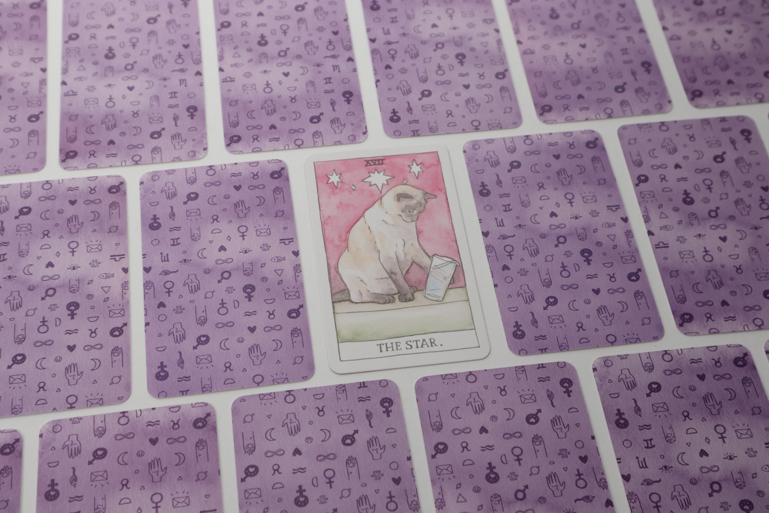 The Star Card from the Cat Tarot Deck surrounded by purple Tarot Cards faced down from the same deck