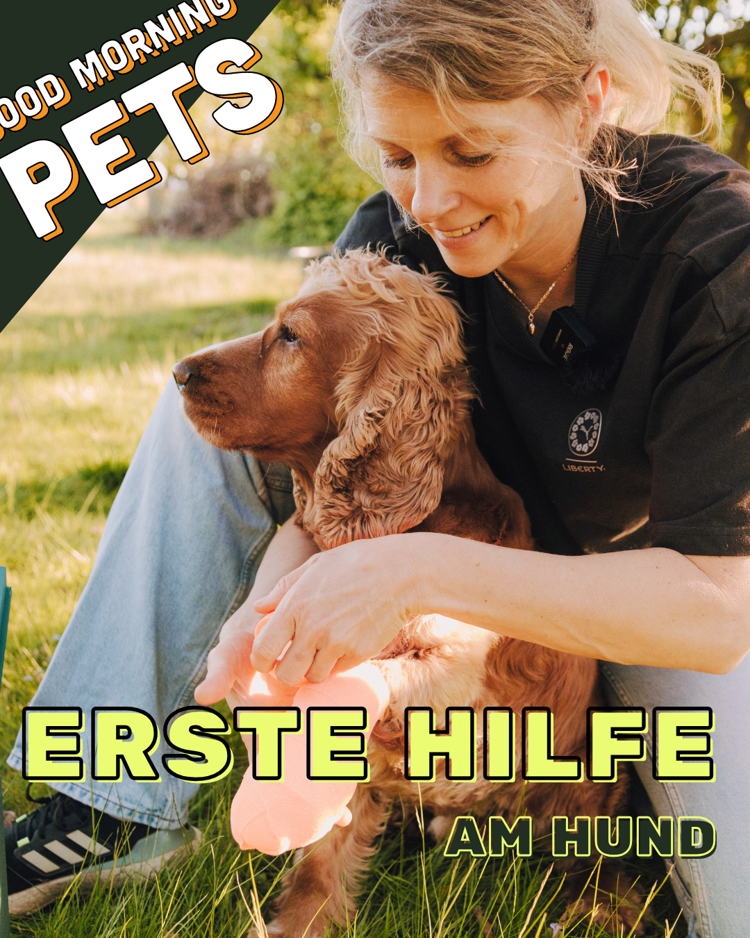 13.06.26 ERSTE HILFE am HUND 10-14 Uhr