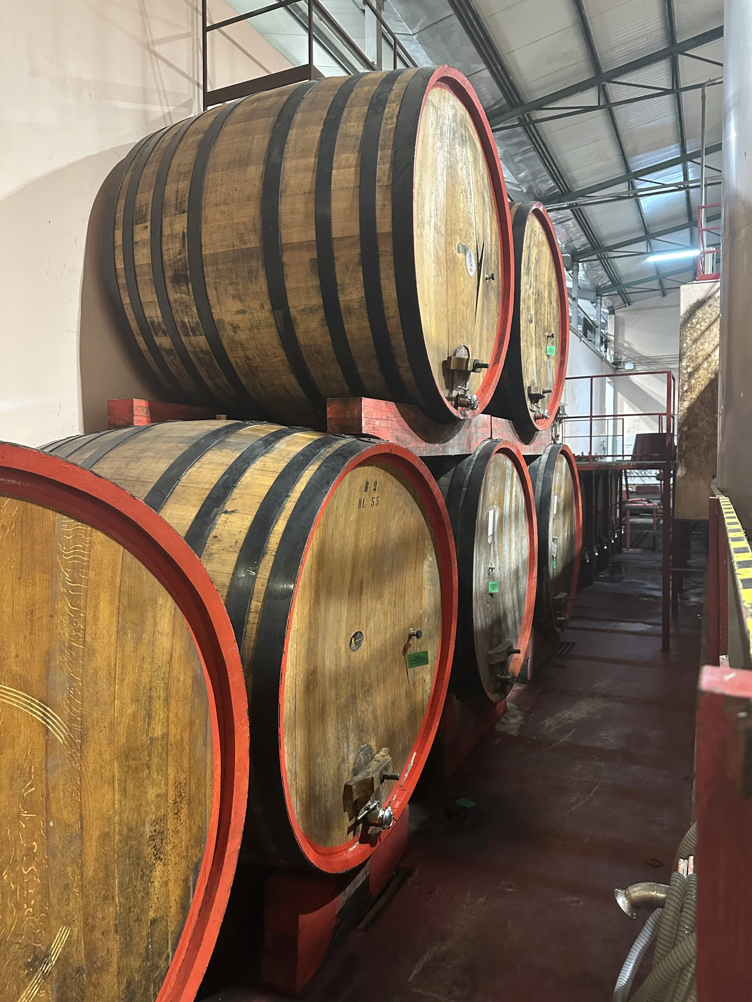 An elderly man with glasses and a white apron is working in a kitchen, focused on a task at a stainless steel counter.