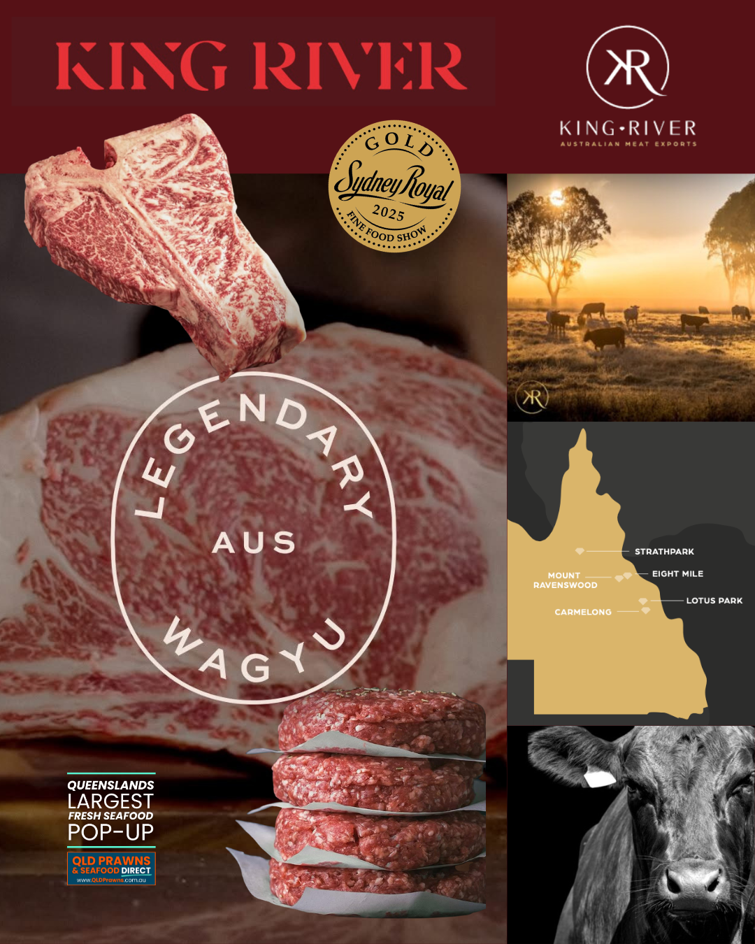 Package of King River high-quality Australian Wagyu beef with marbling, featuring a slice being lifted, and images of a cow, grazing cattle with sunset, and a map of Australia highlighting cattle regions.