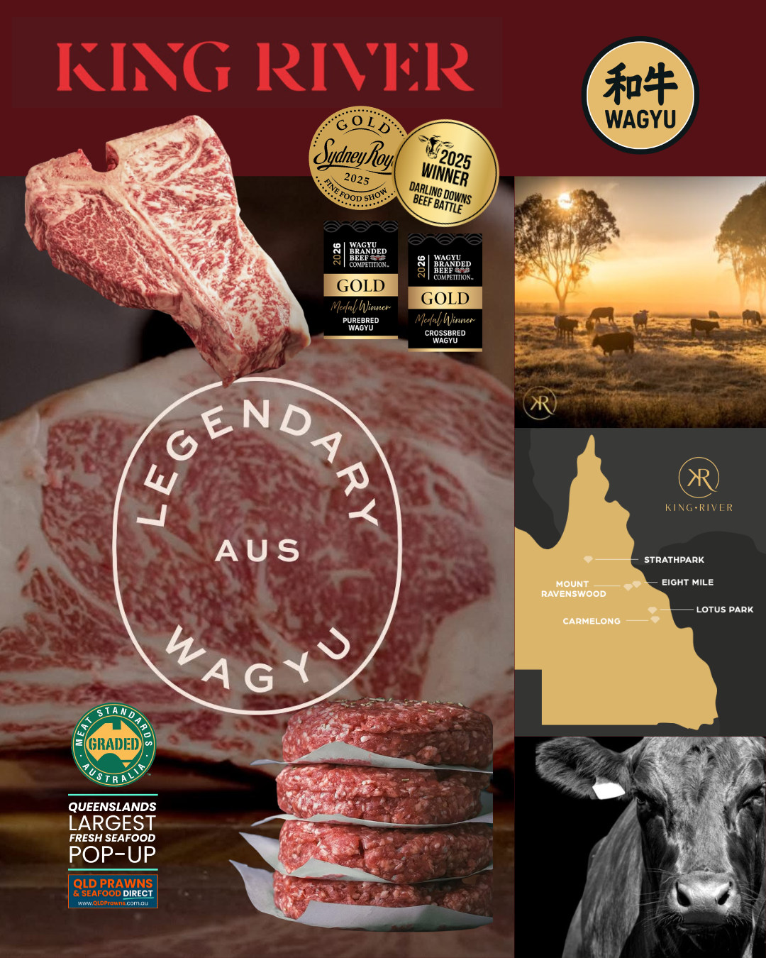 Packaging for King River Wagyu beef featuring images of marbled beef cuts, awards, a herd of cattle grazing at sunset, and a map of the region in Australia.
