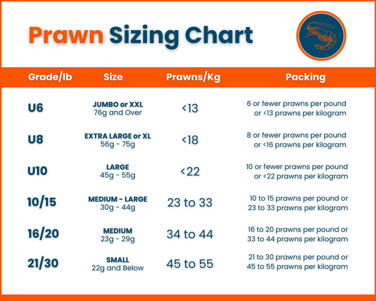 Prawn Sizes Explained QLD Prawns & Seafood Direct | QLDPrawns.com.au