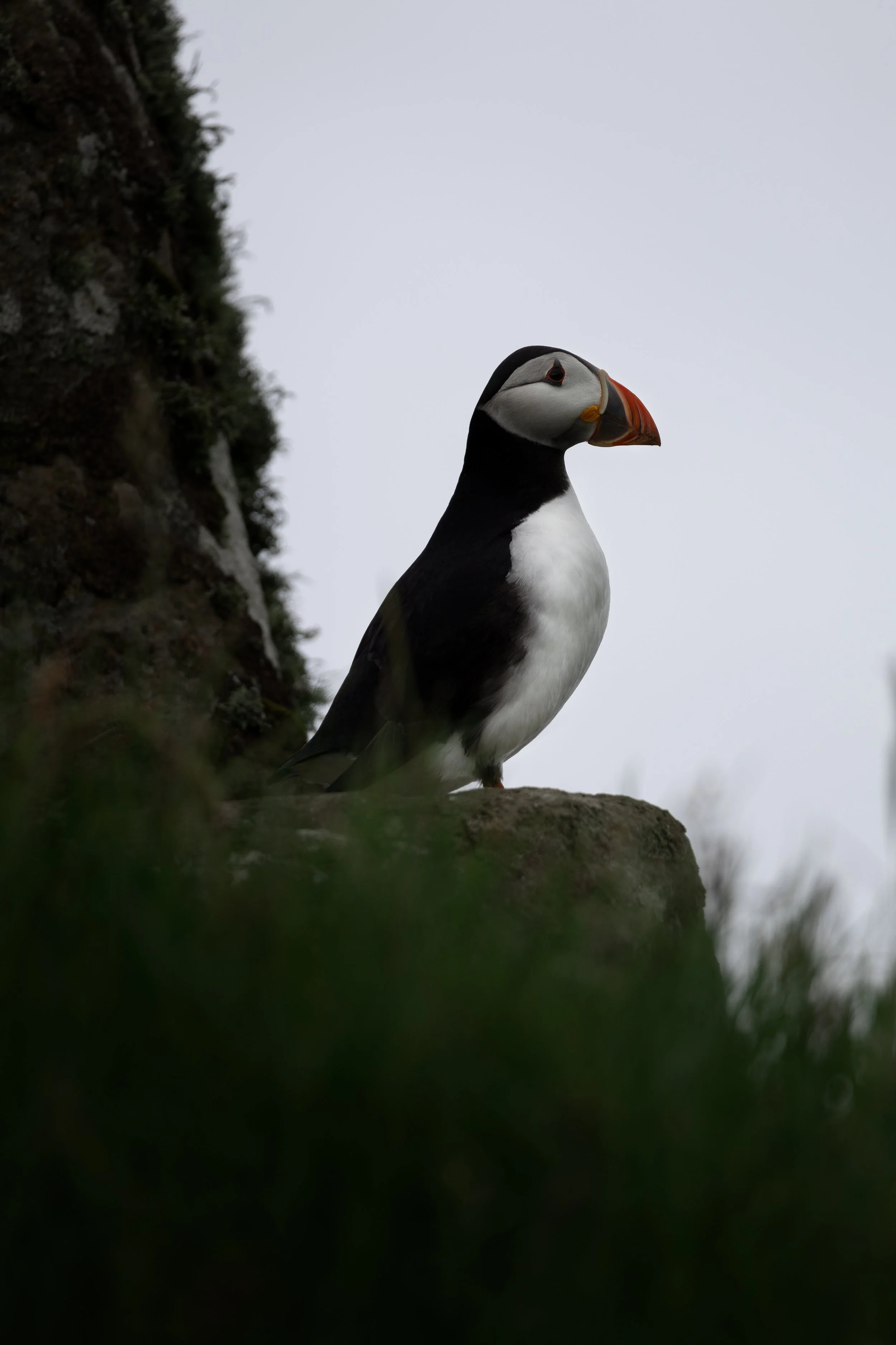 1F4A6908-Edit.jpg
