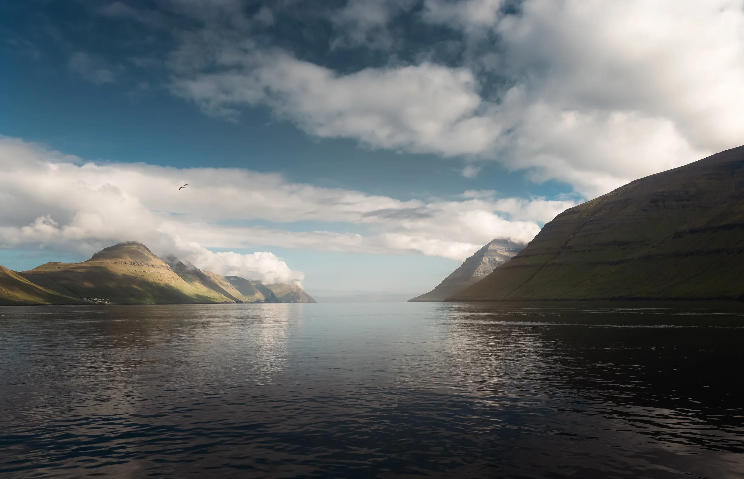 1F4A7743-Enhanced-NR-Edit.jpg