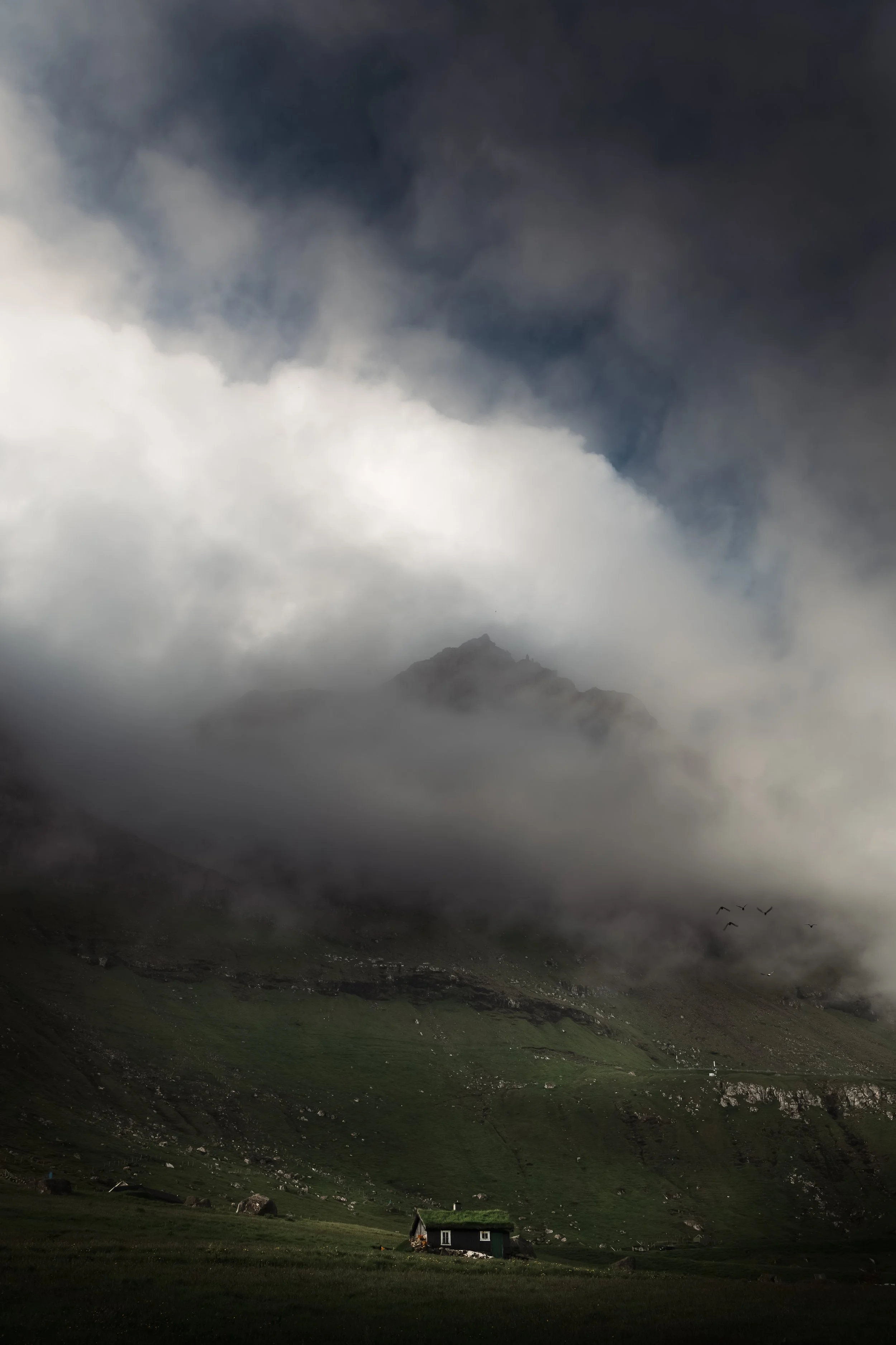 1F4A7756-Enhanced-NR-Edit.jpg