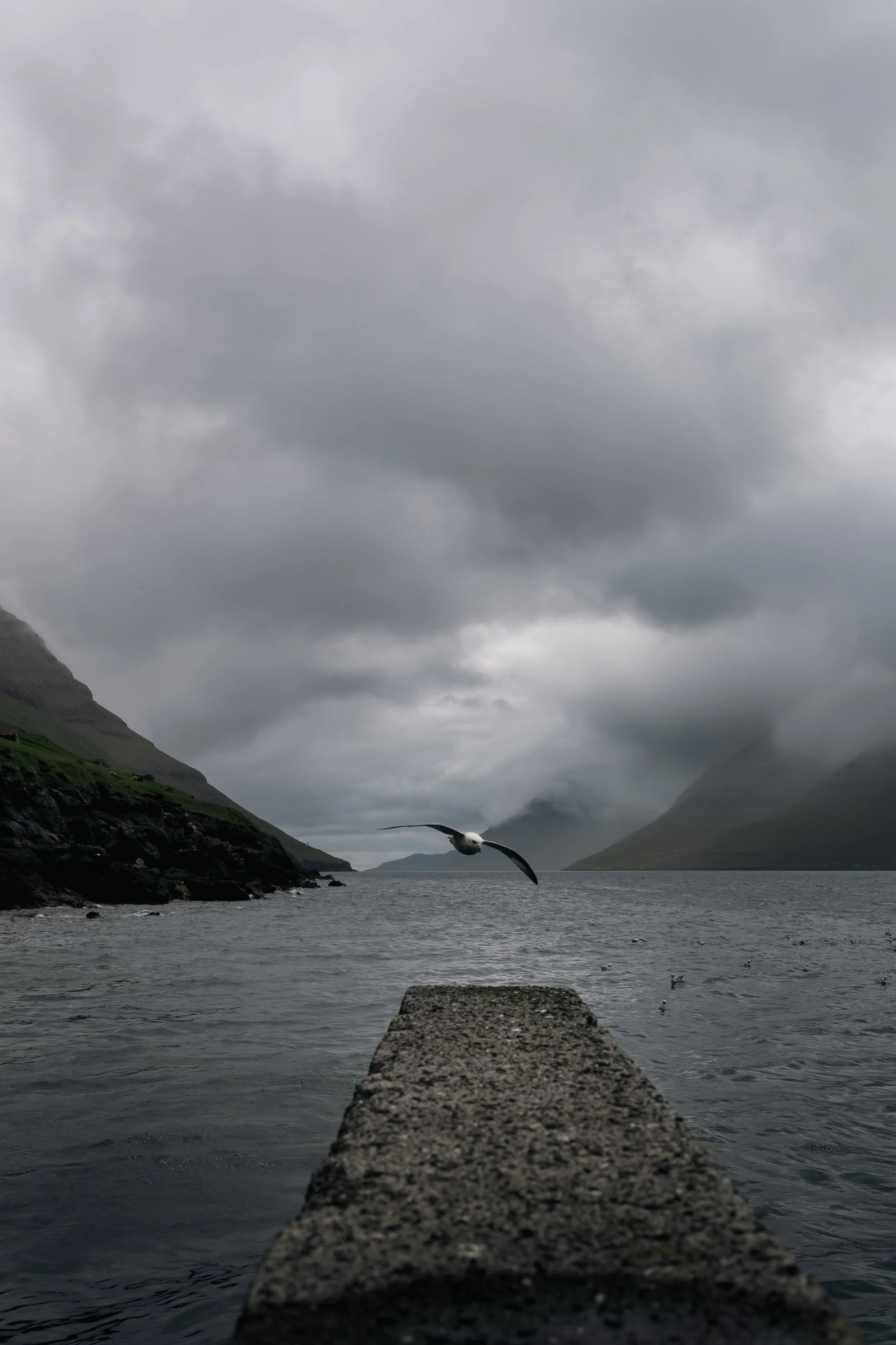 1F4A7177-Edit.jpg