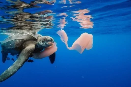 OCEAN PLASTIC CRISIS SUMMIT