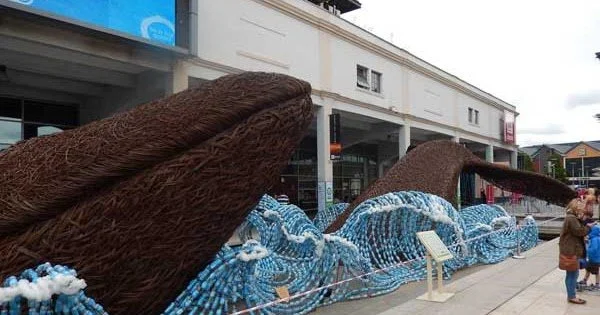 THE BRISTOL WHALES