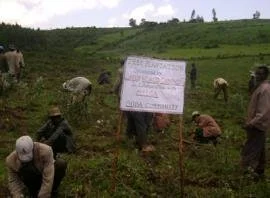 GREEN WORLD CAMPAIGN