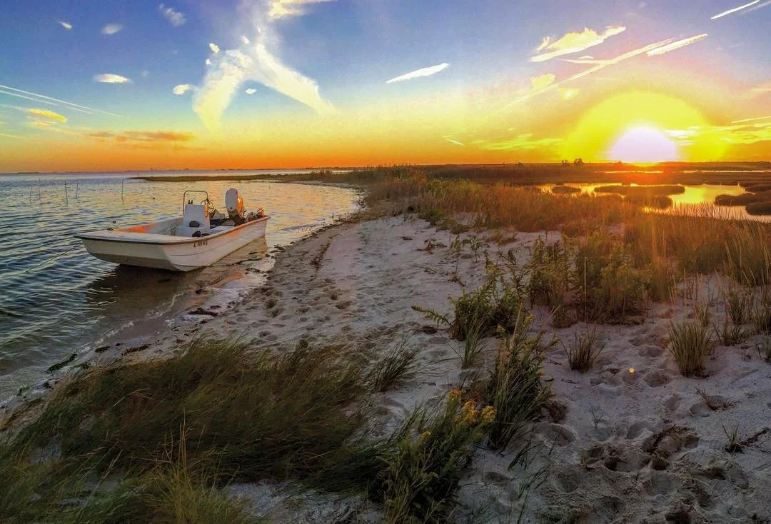 Supporting the Forty North Oysters Project, USA (Copy)