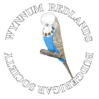 Wynnum Redlands Budgerigar Society