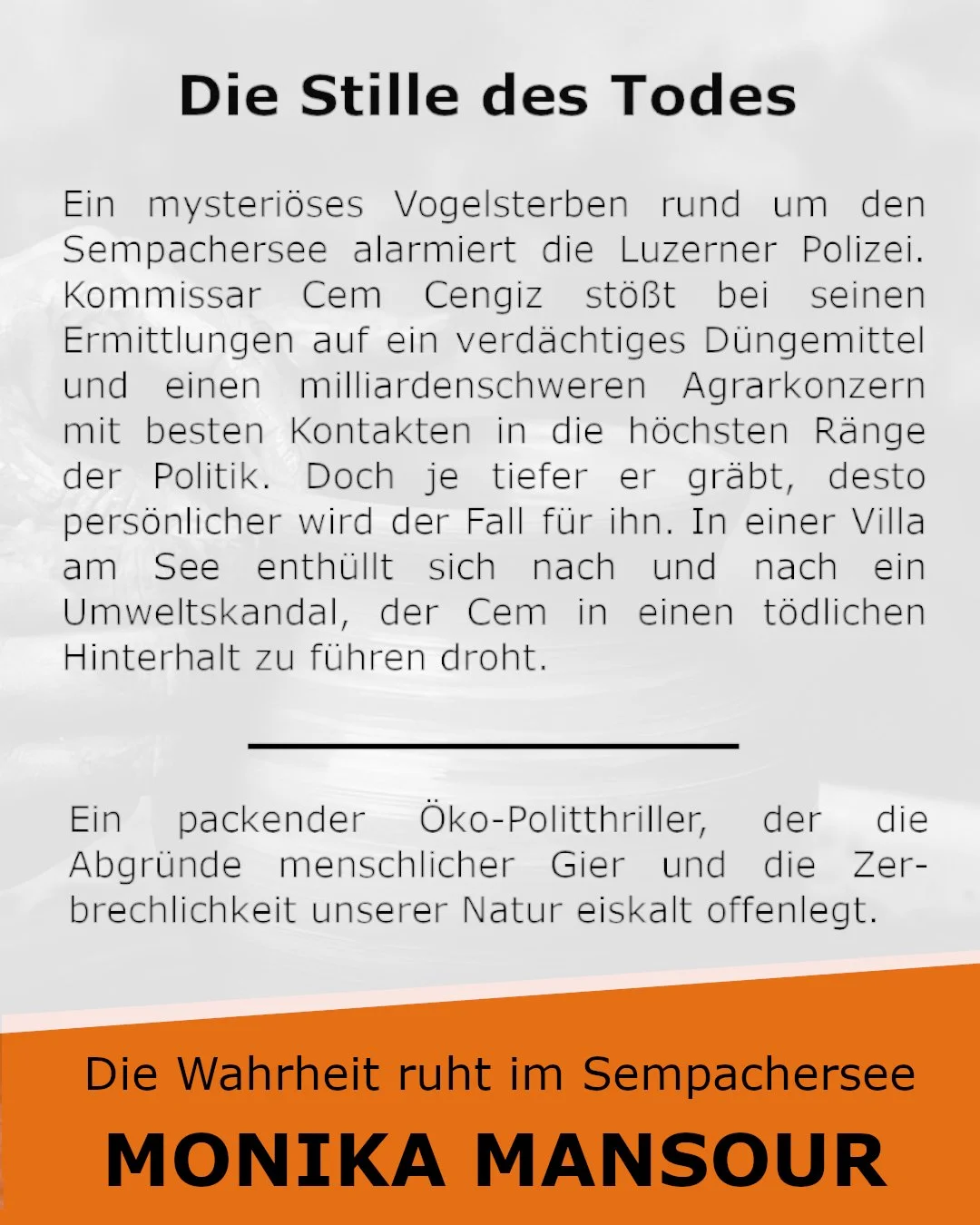 Lesung Drehpunkt Seite 3.jpg