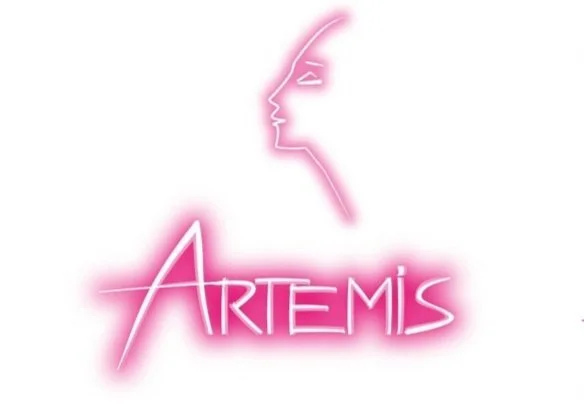 Artemis LOGOS_240628_163612.jpg