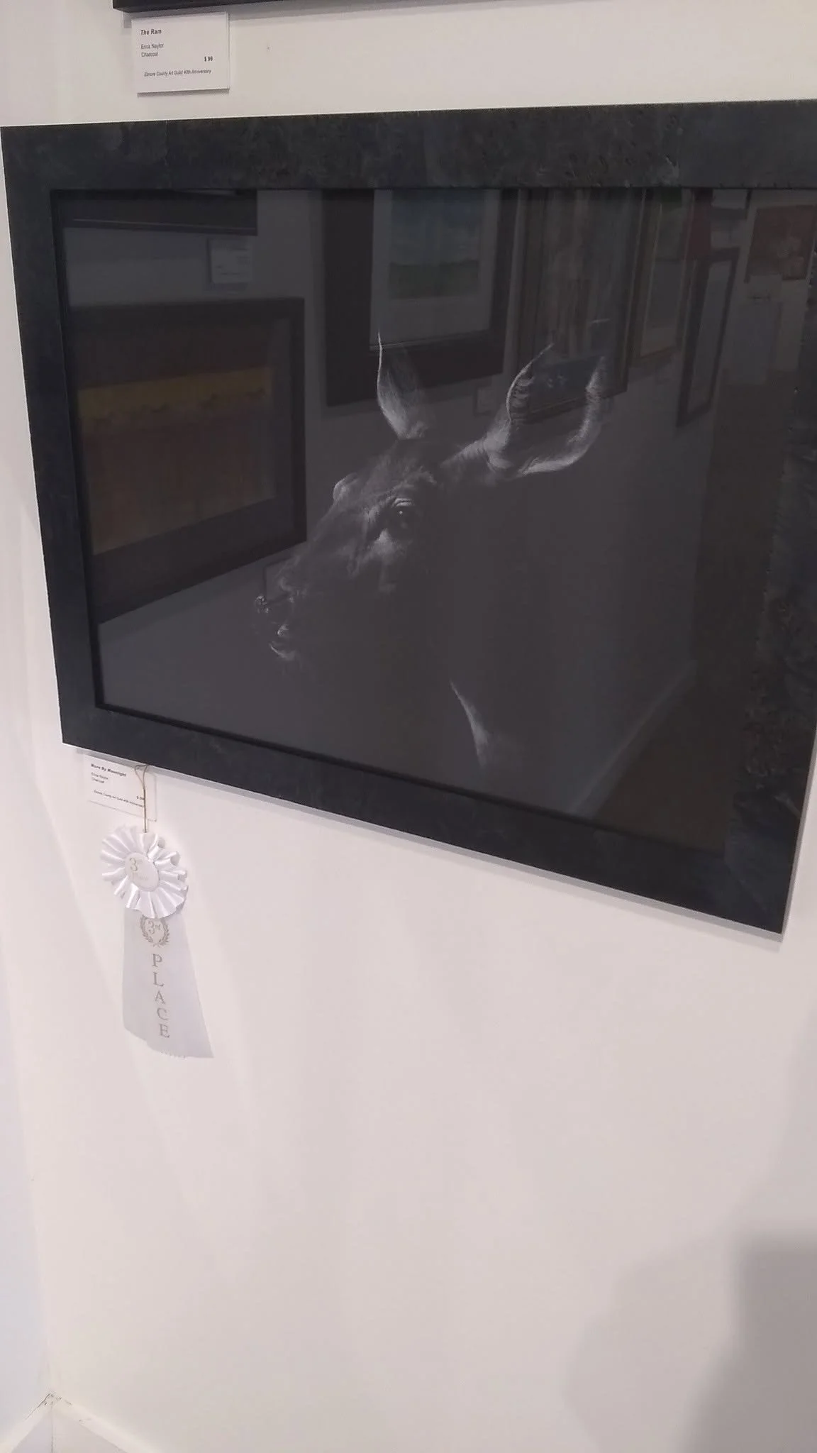 award 508179256_3120619181426658_1277557904408903452_n.jpg