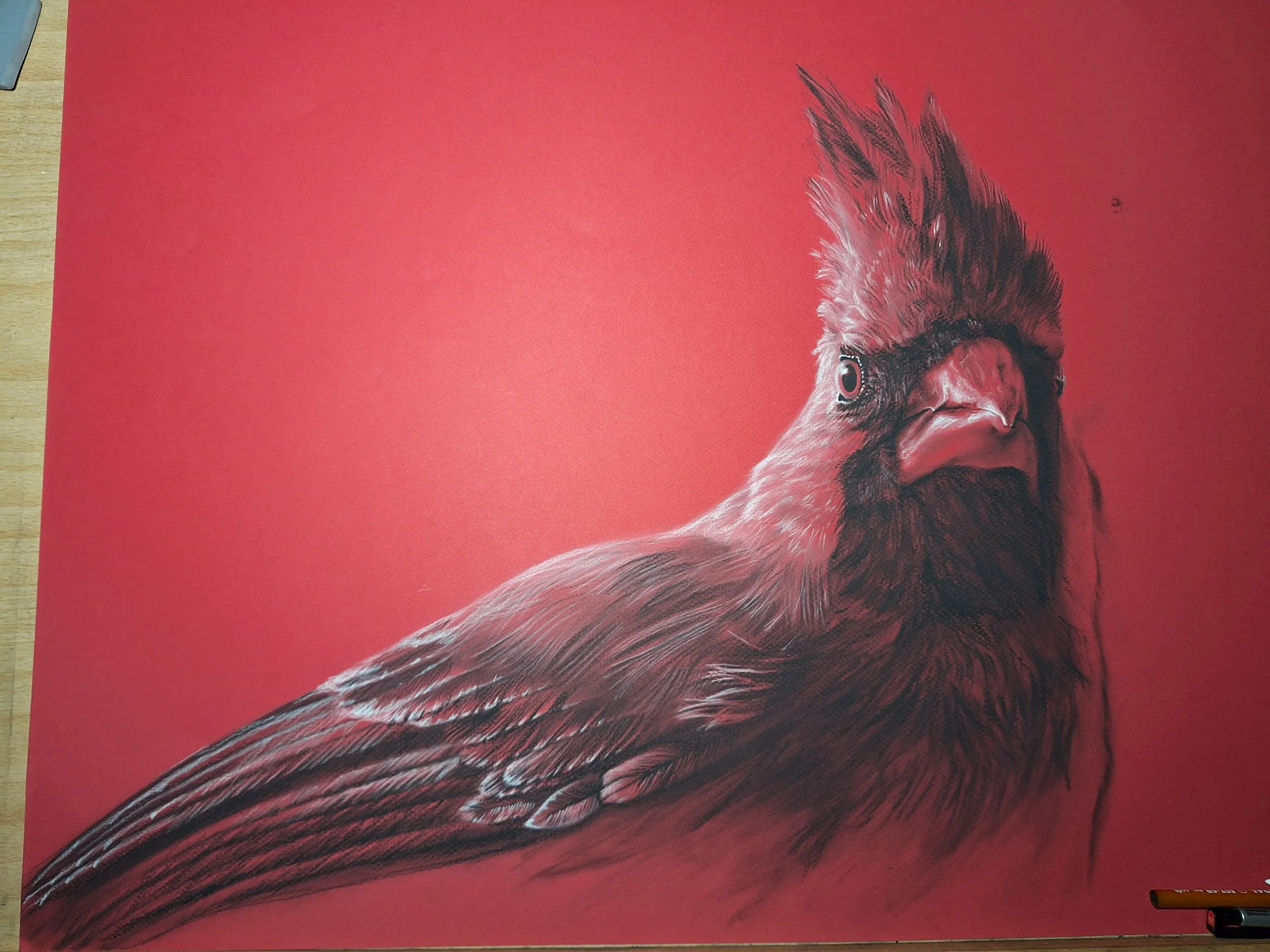 The Cardinal  (Currently a Work-In-Progress)