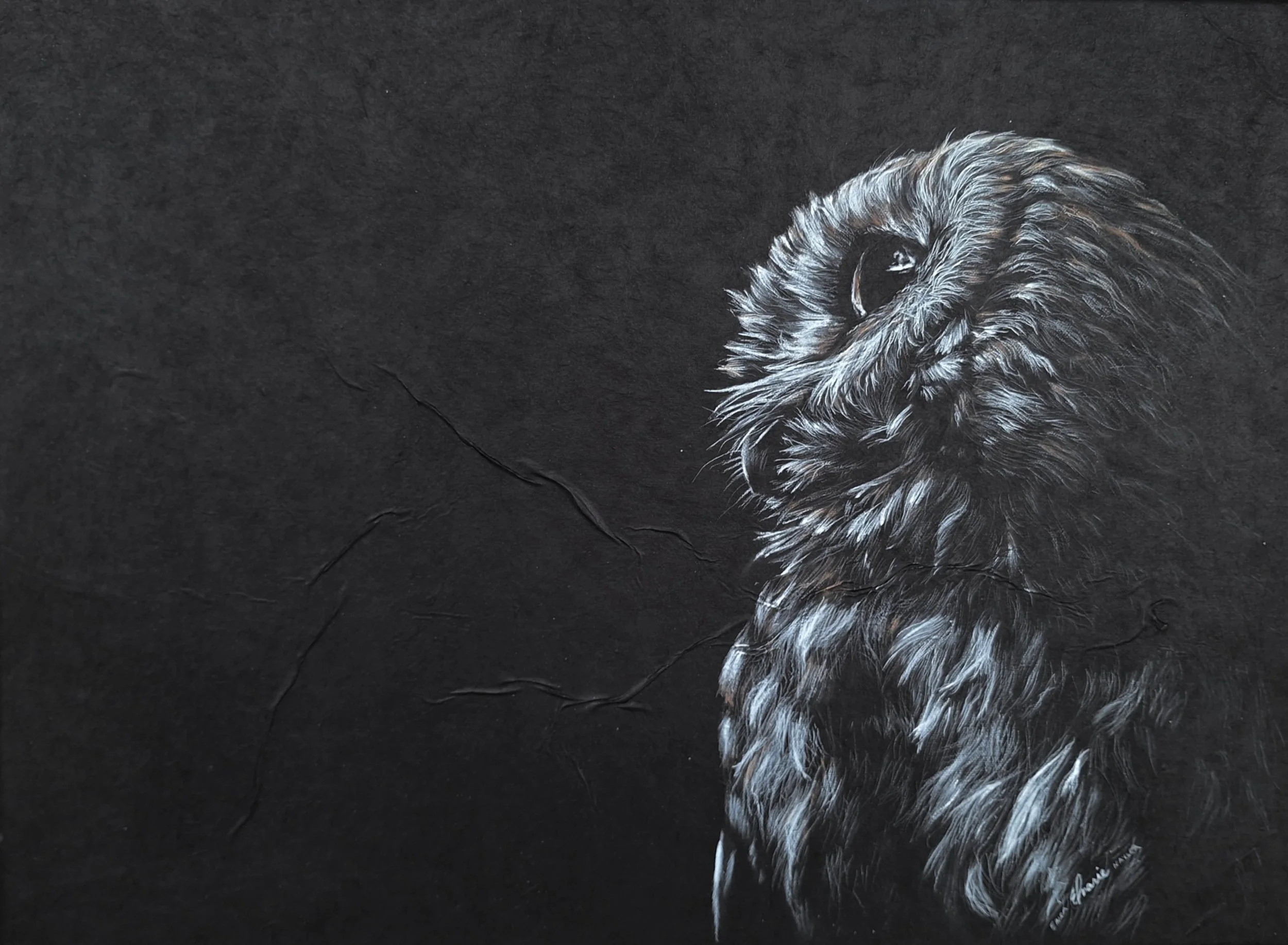 "The Observant Owl" - Original - CURRENTLY ON HOLD