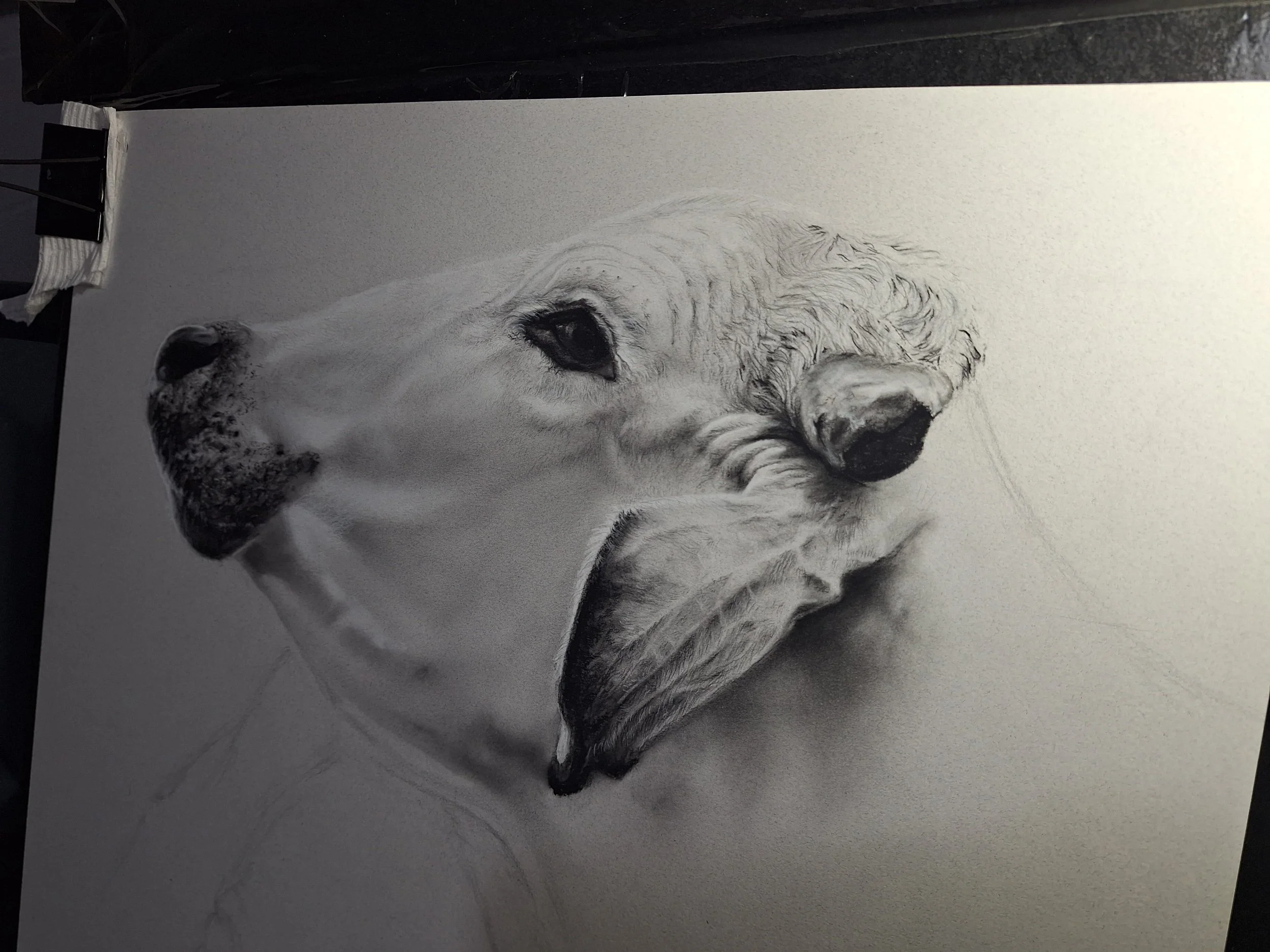 "The Brahman Beauties" - Original - WORK-IN-PROGRESS - Available for sale until November 30, 2026