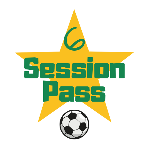 6 session pass