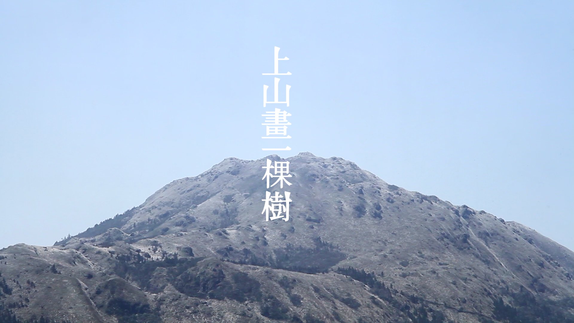 上山畫一棵樹.jpg