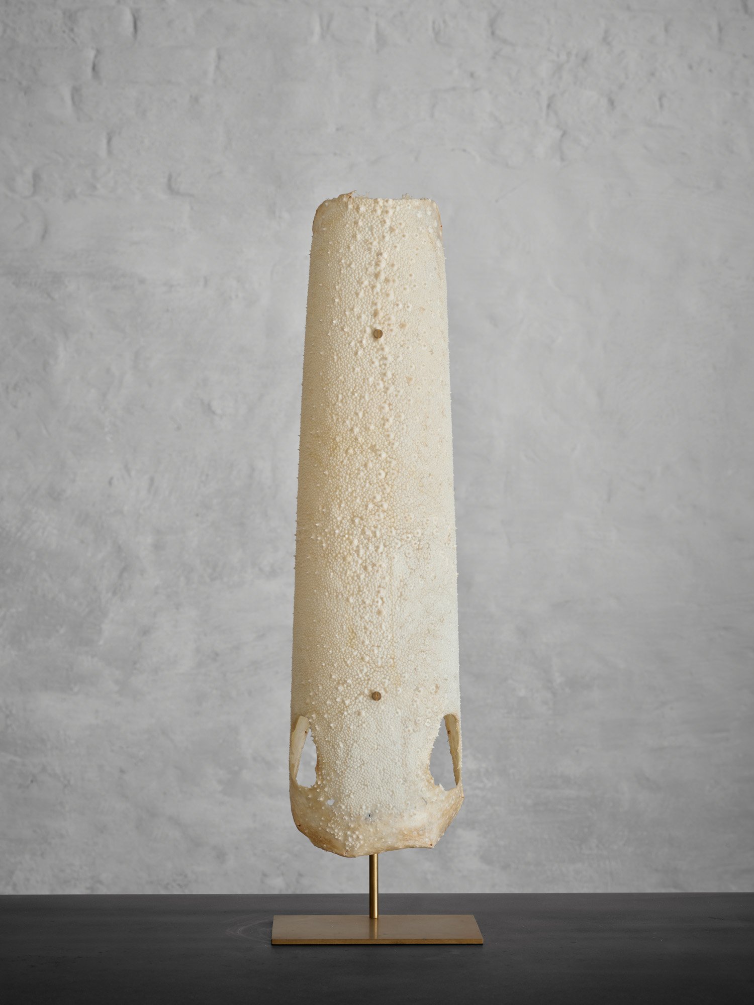 Galuchat Lamp_08A.jpg