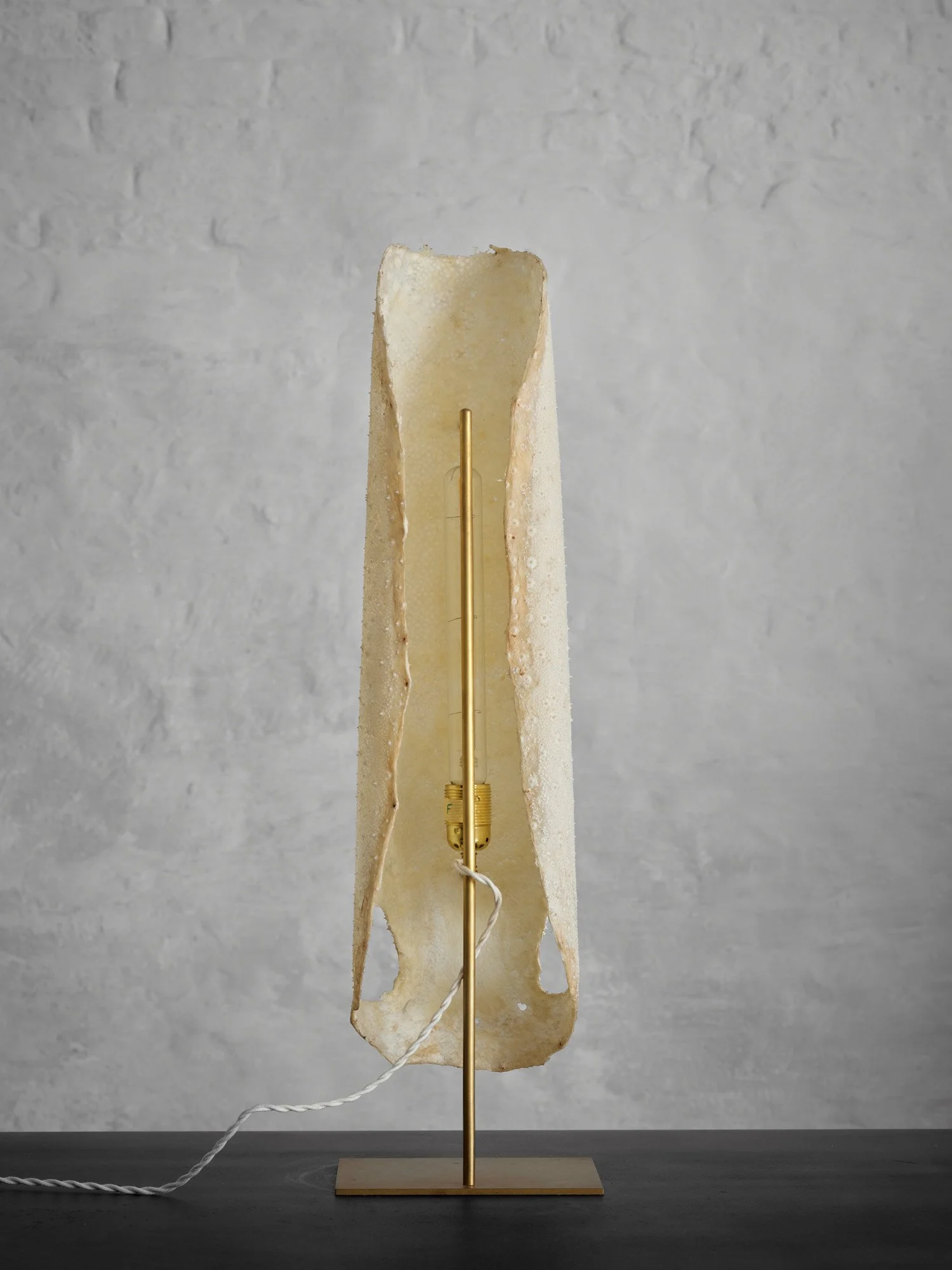 Galuchat Lamp_08C.jpg