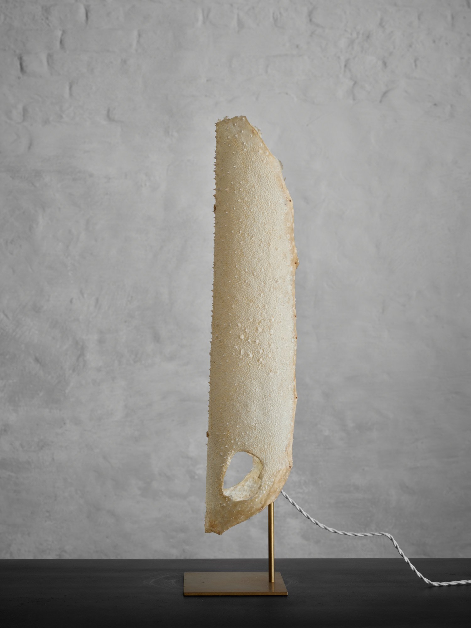 Galuchat Lamp_08D.jpg