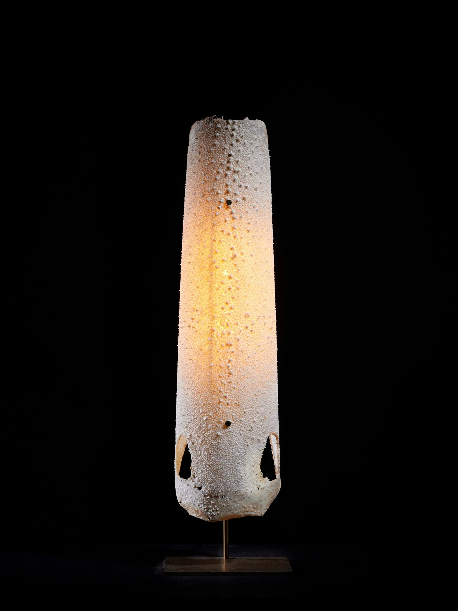 Galuchat Lamp_08E.jpg