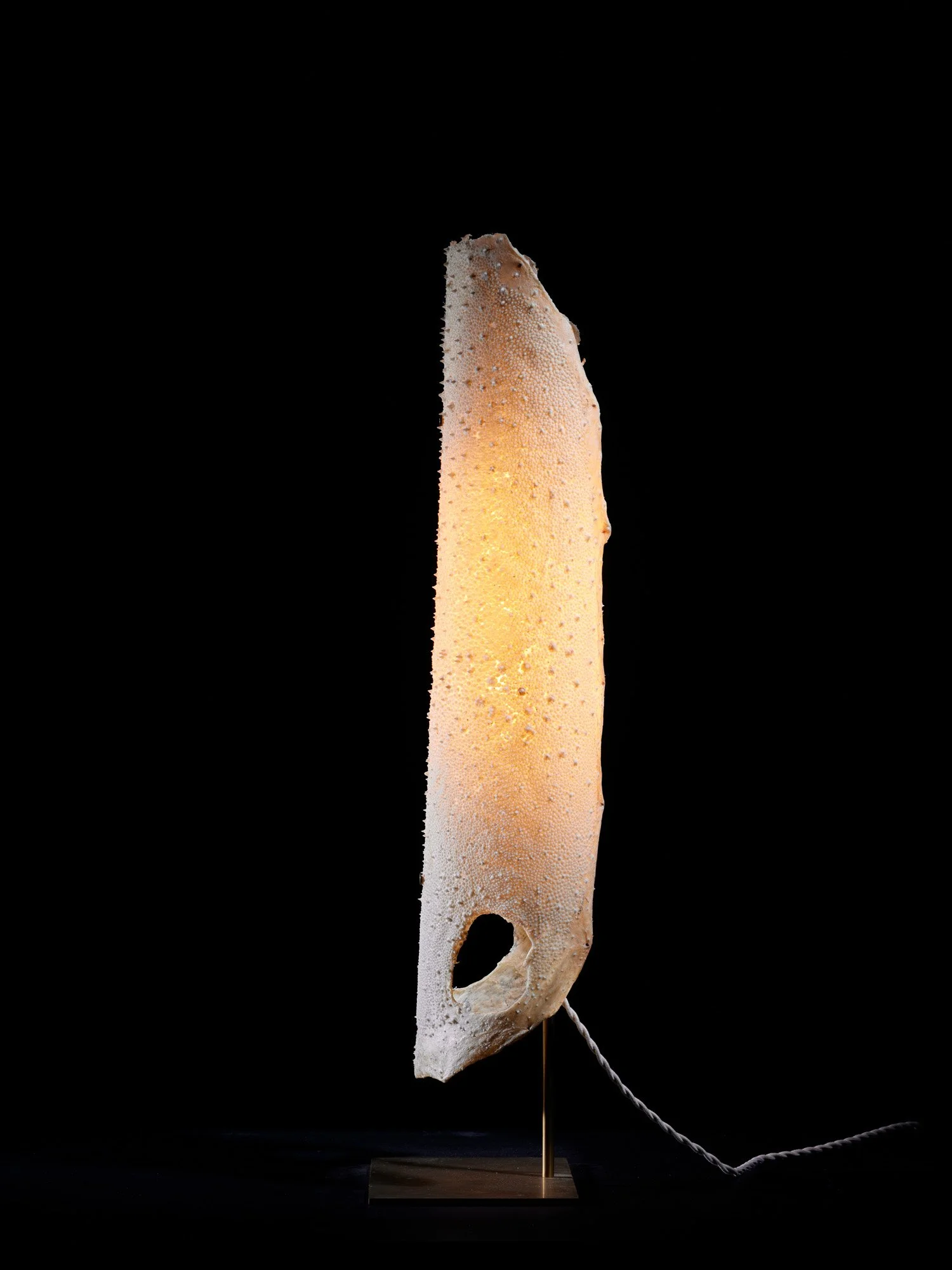 Galuchat Lamp_08Fa.jpg