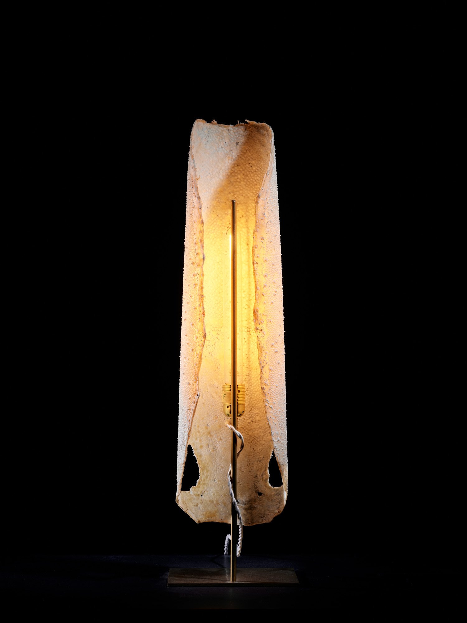 Galuchat Lamp_08G.jpg