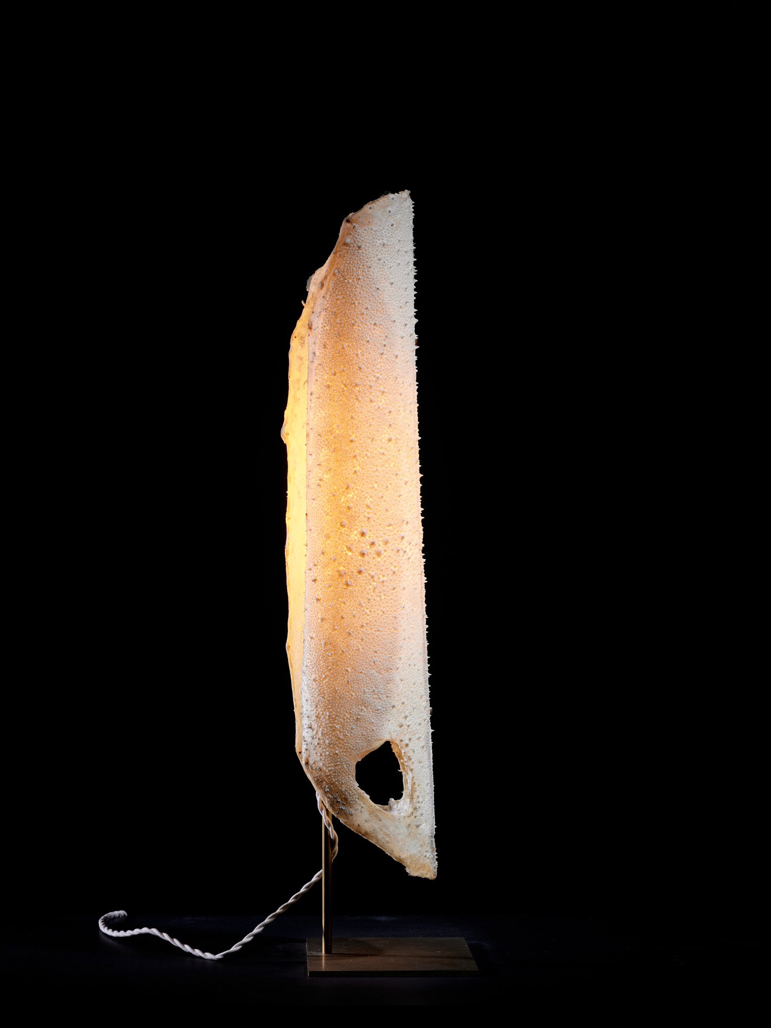 Galuchat Lamp_08H.jpg