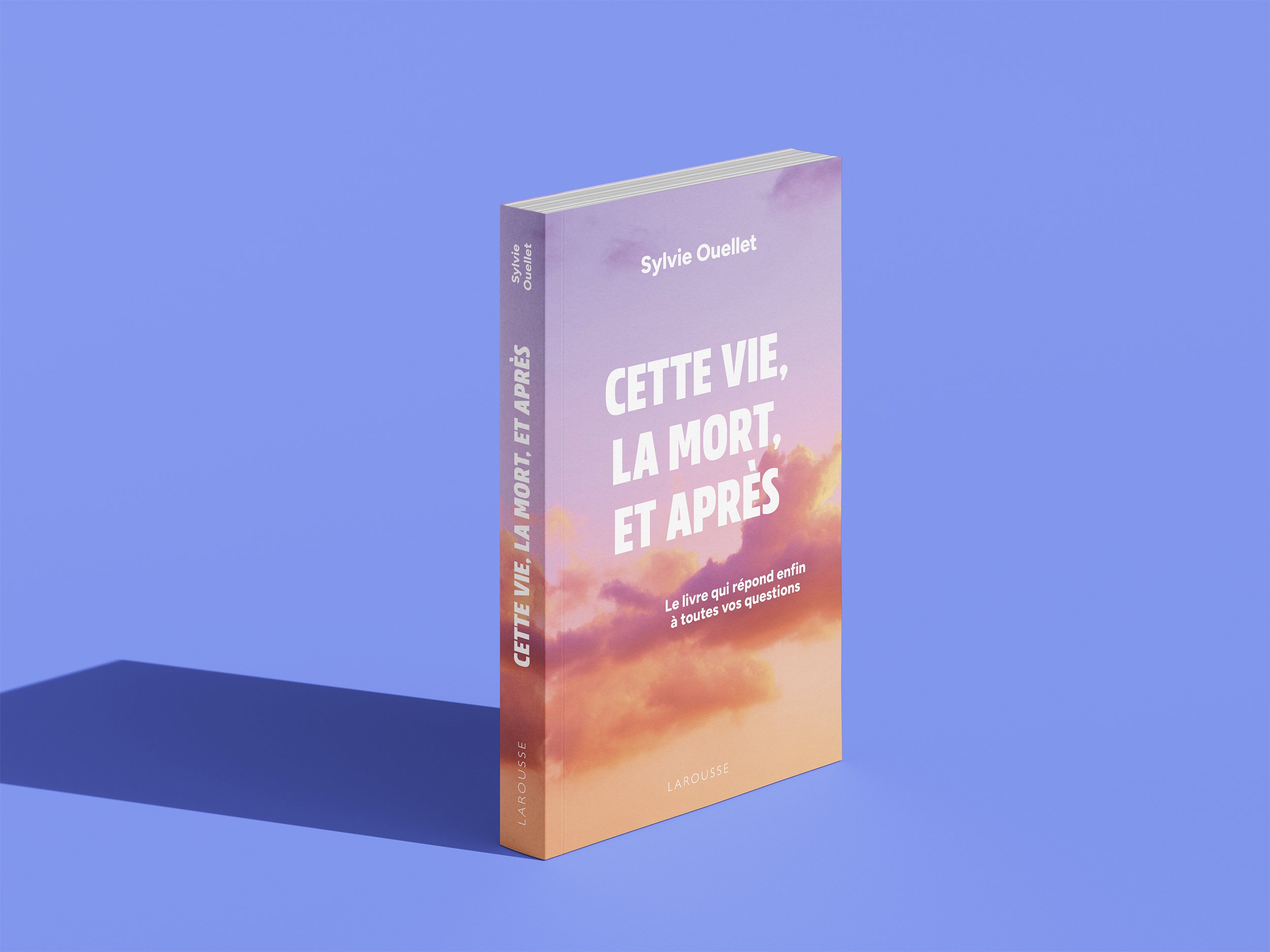 CetteVieLaMortEtApres_COUV_Mockup-2.jpg