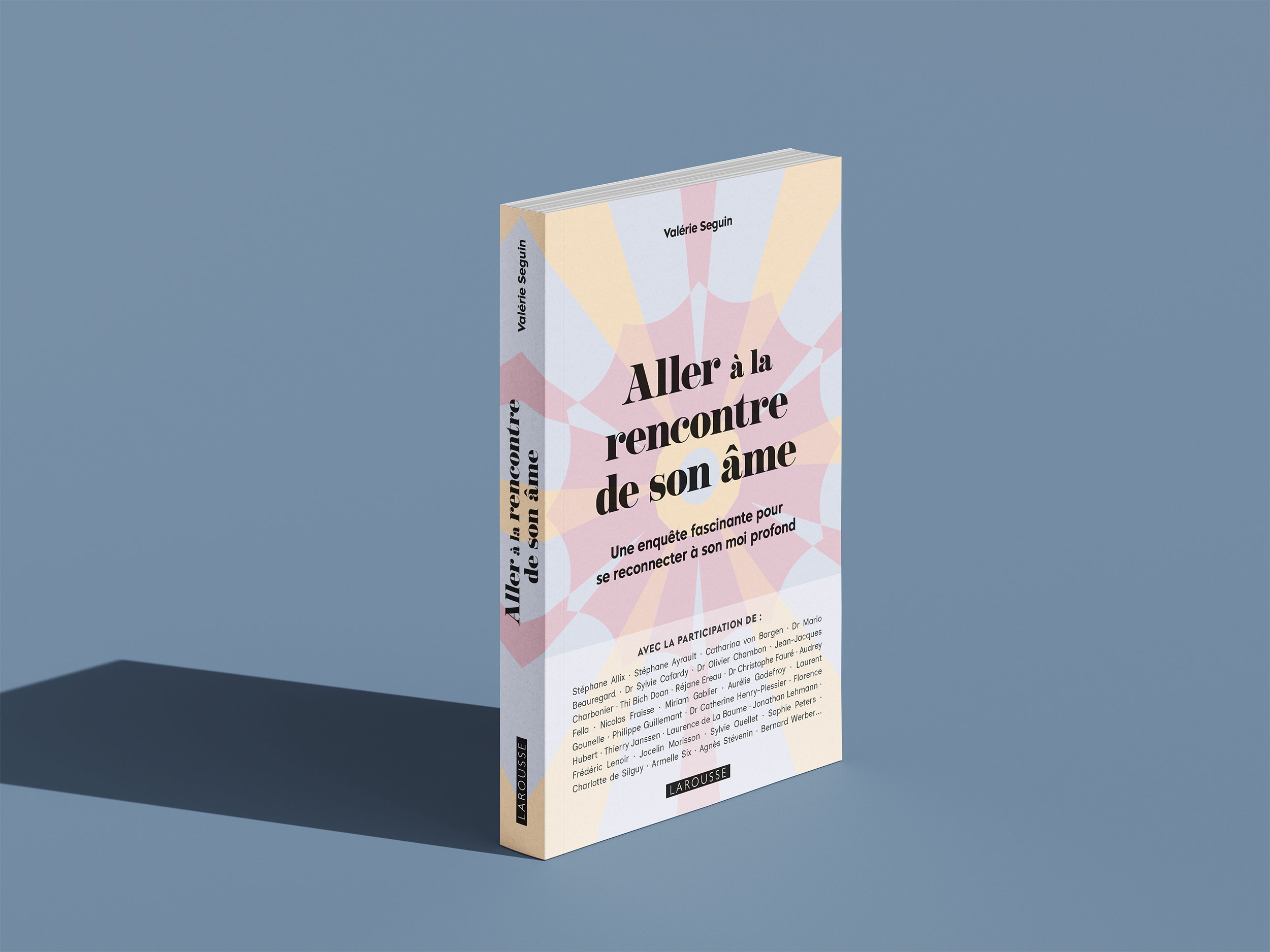 AllerALaRencontreDeSonAme_COUV_Mockup.jpg