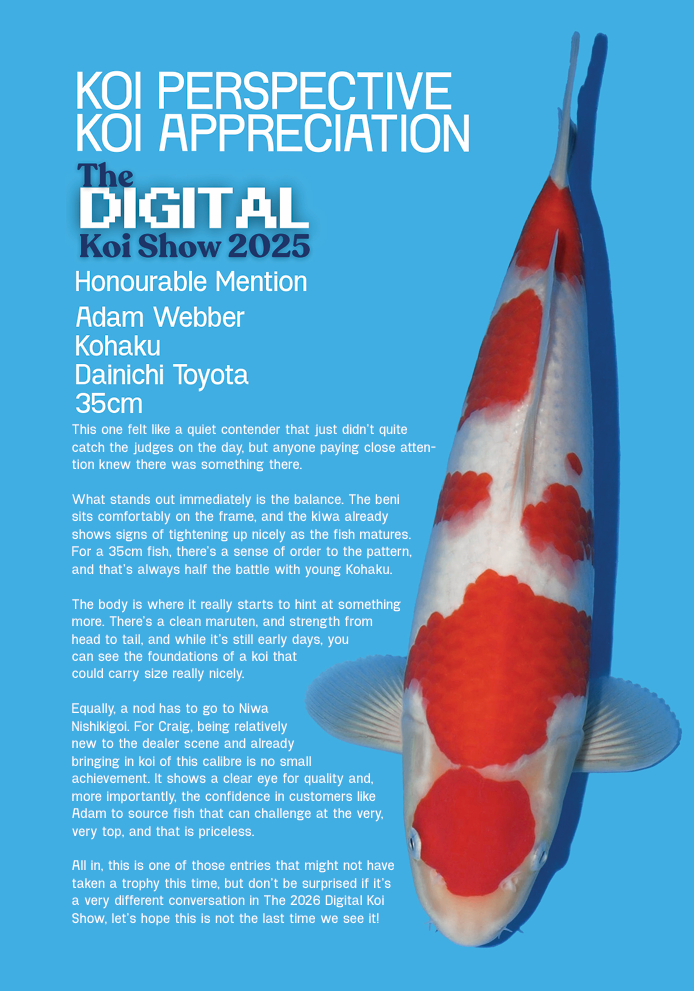 the koi perspective magazine  April 2026 Issue pages - digital koi show 2025
