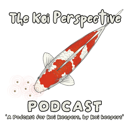 Graphic design for 'The Koi Perspective Podcast' featuring a koi fish with red and white markings, red concentric circles representing sound waves, and text indicating it's a podcast for koi keepers.