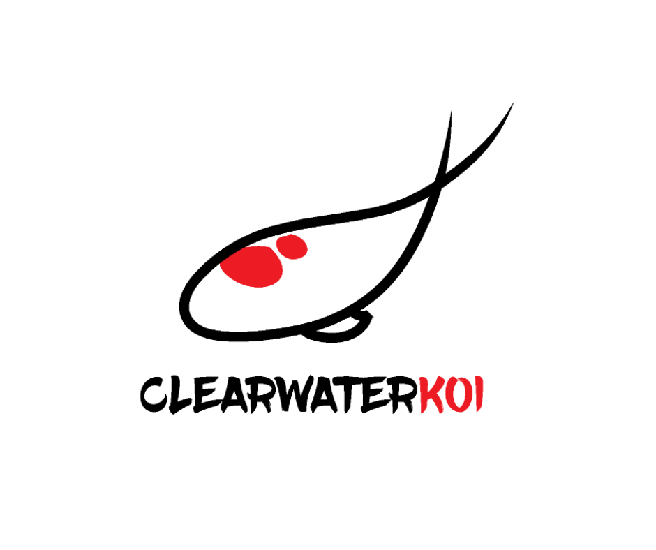 Logo for Clearwater KOI featuring a stylized koi fish with red spots and the text "CLEARWATER KOI" underneath.
