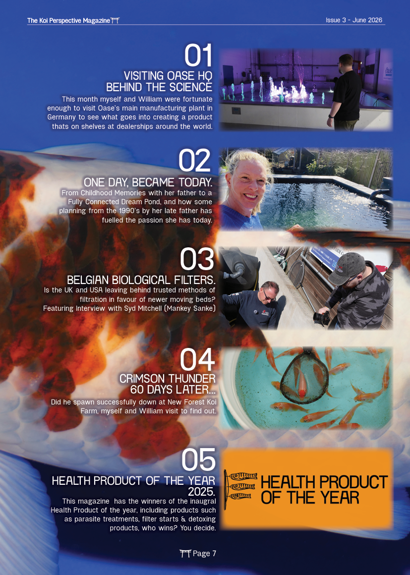 June 2026 - the Koi Perspective magazine page