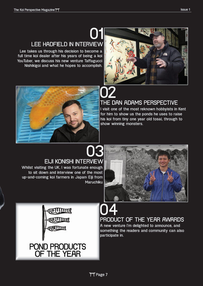 February 2026 Issue - Founding Edition  - The Koi Perspective - inside