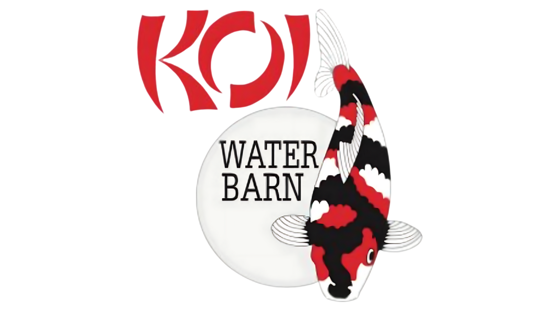 Logo with the words "Koi Water Barn" and a large koi fish with black, red, and white markings swimming beside a white circle.