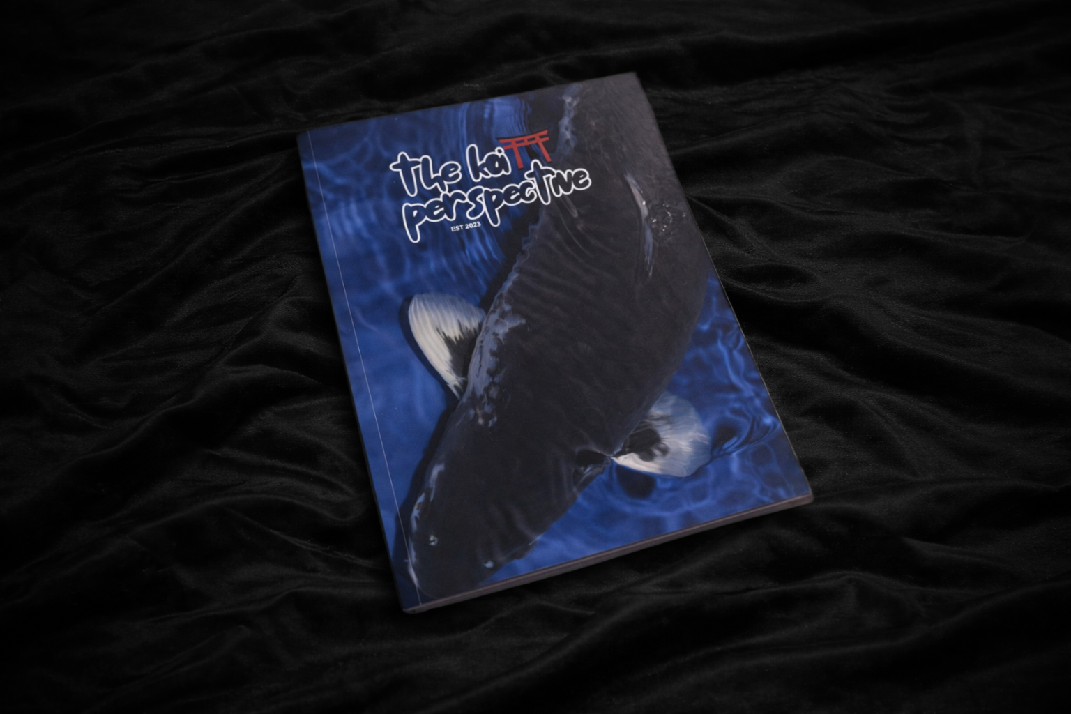 The Koi Perspective Magazine Front Cover