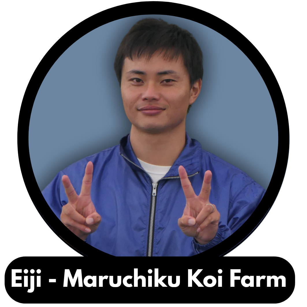 Portrait of a young man making peace signs with both hands, wearing a blue jacket, on a gray background with black border, labeled as Eiji - Maruchiku Koi Farm.