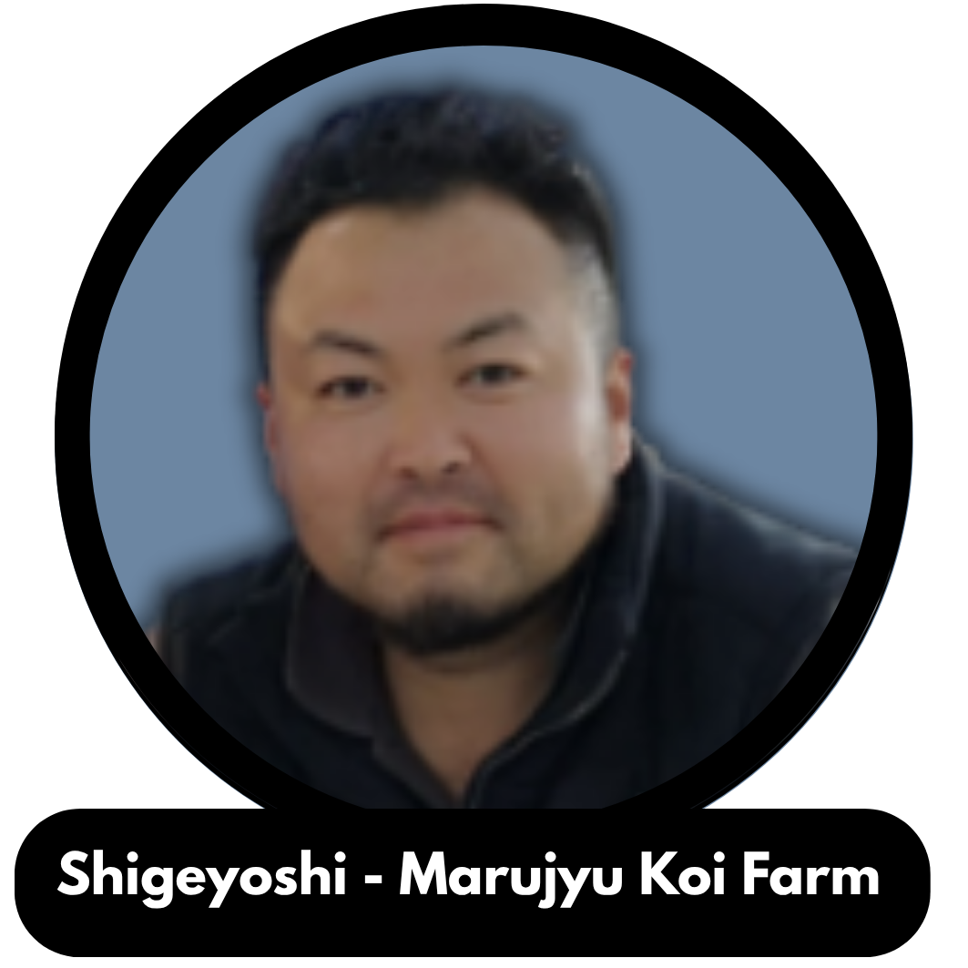Photograph of a man with short black hair, a beard, and a mustache, wearing a black jacket. The background is a solid blue color. The image is labeled "Shigeoyshi - Maruyu Koi Farm."