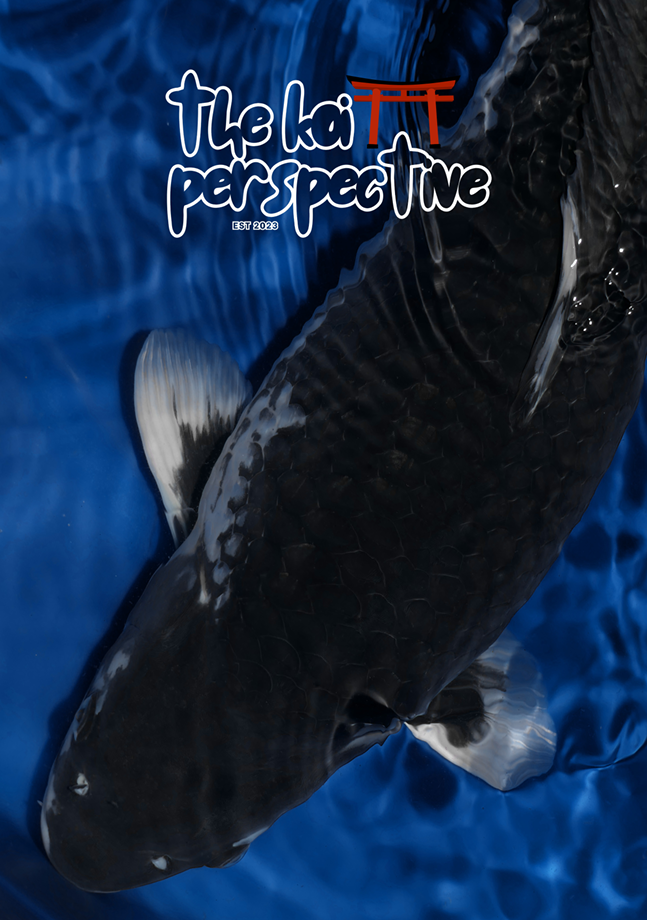image_2026-09-07_113743128.png