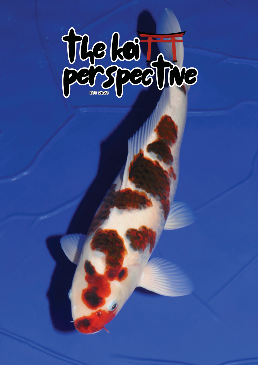 image_2026-09-07_114618082.png