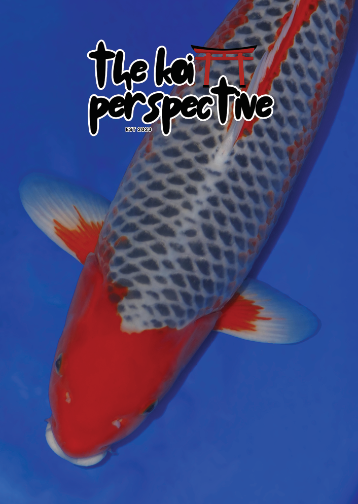 image_2026-09-07_114054083.png