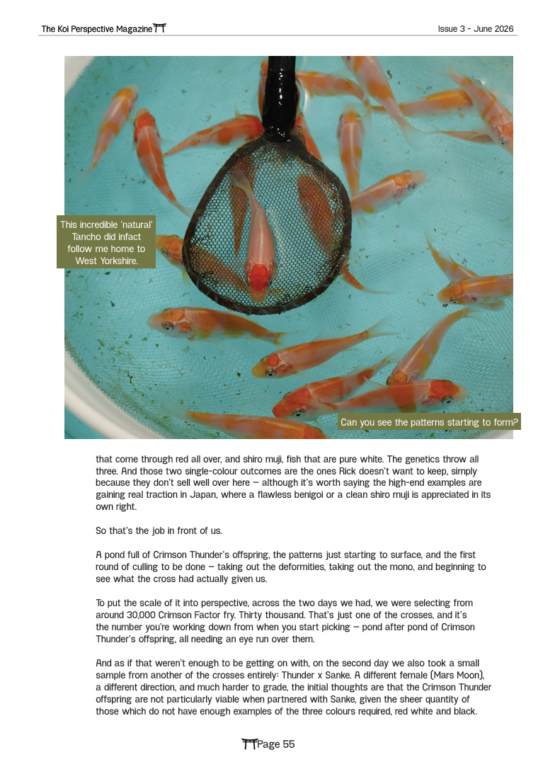 image_2026-09-07_114733634.png