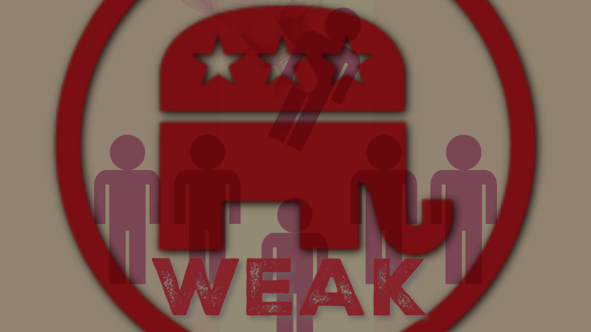 The NEXT President of the United States